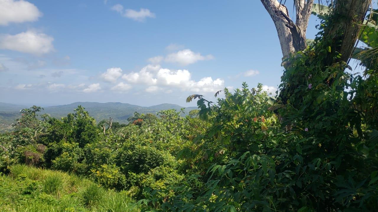 Eighth image of Cromwell Lands, Highgate in Highgate, St. Mary, Jamaica - property is For Sale
