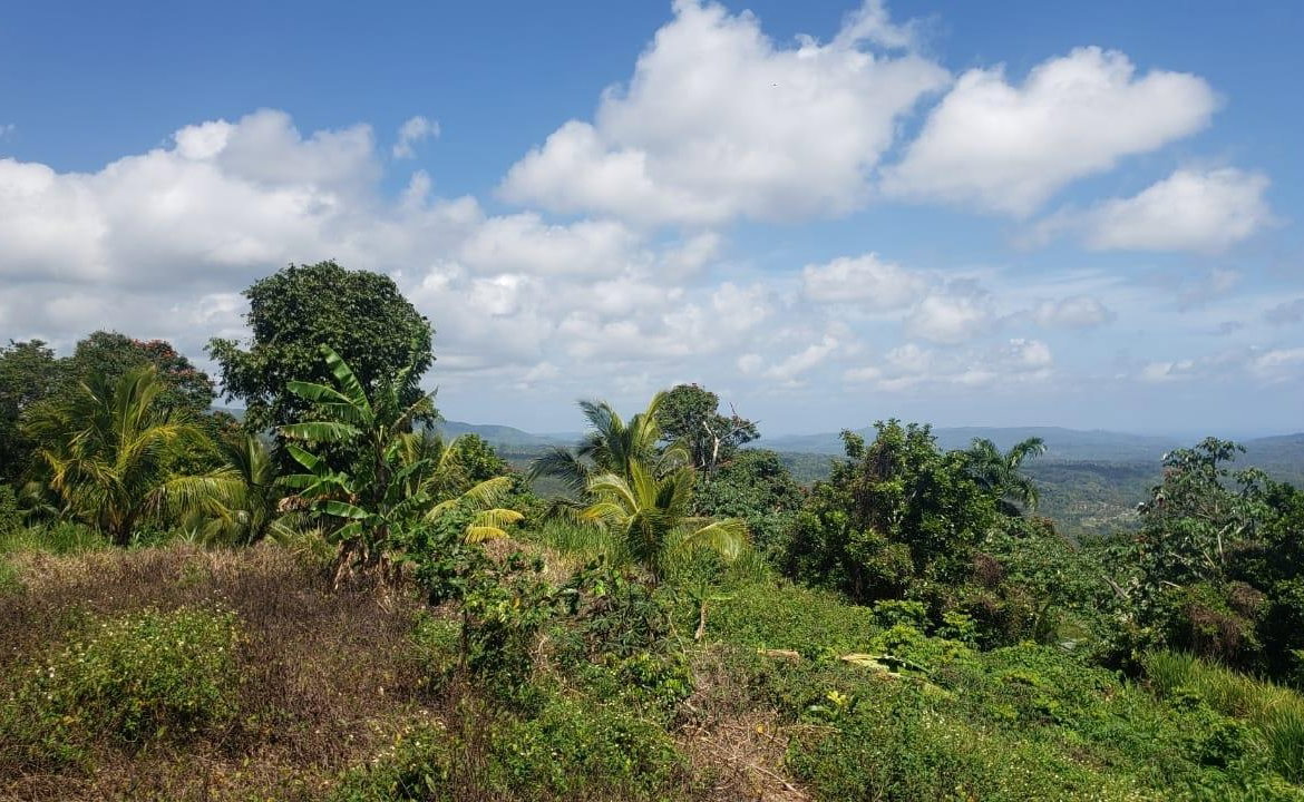 Ninth image of Cromwell Lands, Highgate in Highgate, St. Mary, Jamaica - property is For Sale