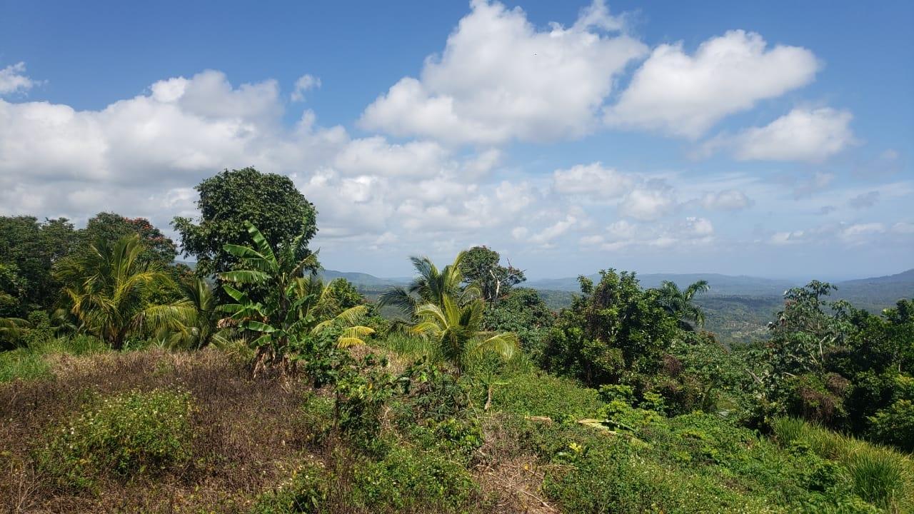 Ninth image of Cromwell Lands, Highgate in Highgate, St. Mary, Jamaica - property is For Sale