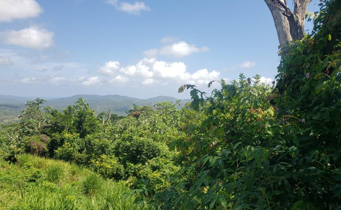Tenth image of Cromwell Lands, Highgate in Highgate, St. Mary, Jamaica - property is For Sale