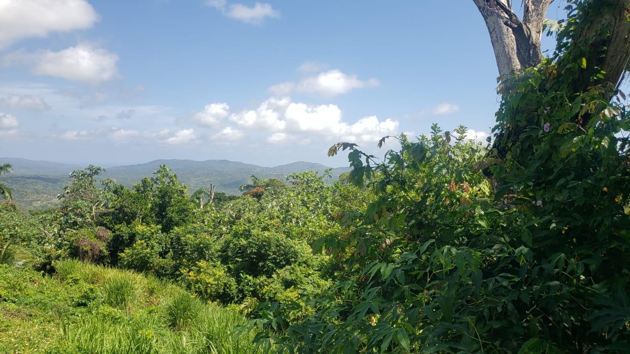 Tenth image of Cromwell Lands, Highgate in Highgate, St. Mary, Jamaica - property is For Sale