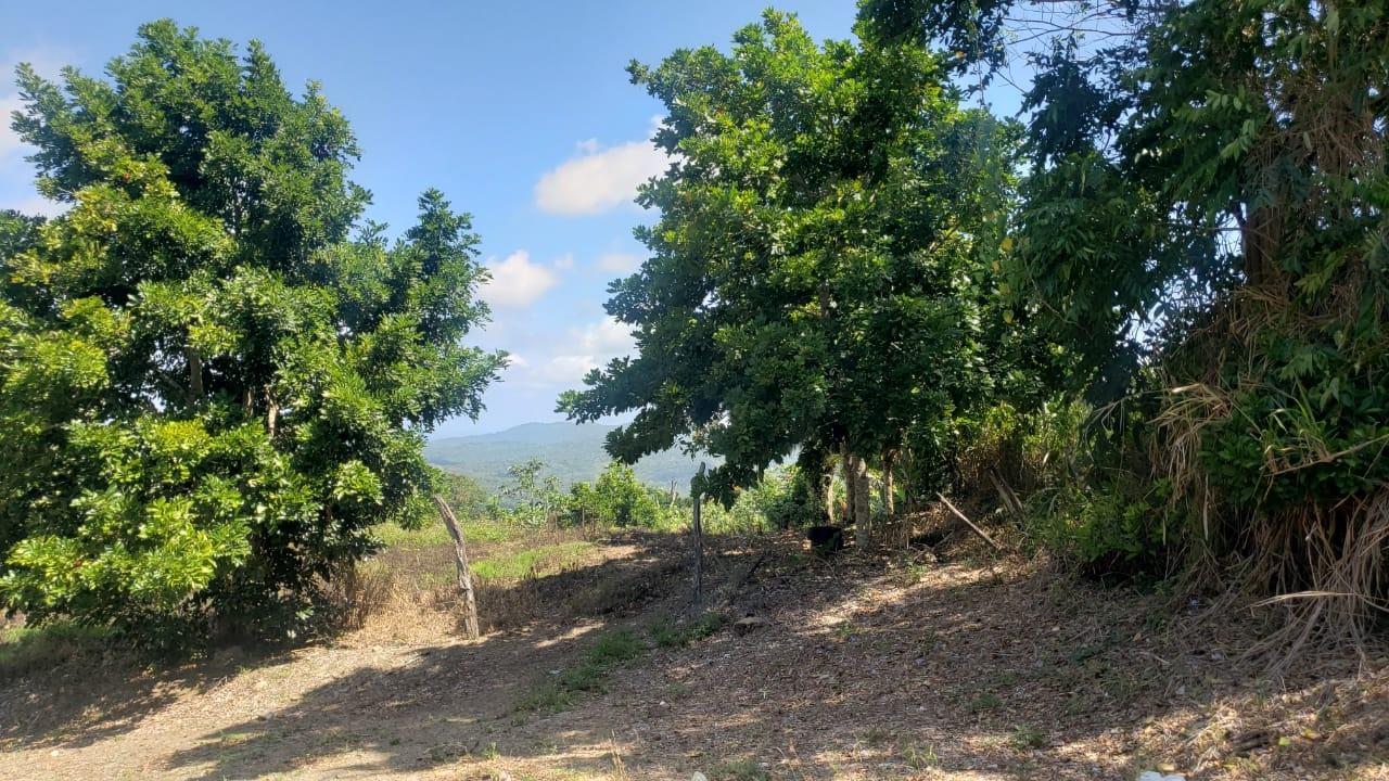 First image of Cromwell Lands, Highgate in Highgate, St. Mary, Jamaica - property is For Sale