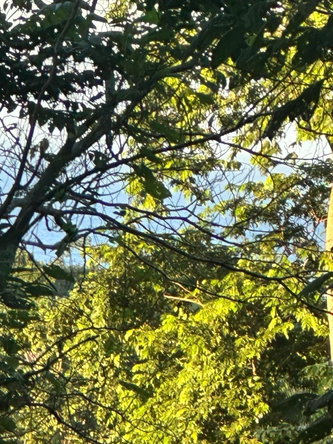Second image of Leyton-orange Bay Portland in Orange Bay, Portland, Jamaica - property is For Sale
