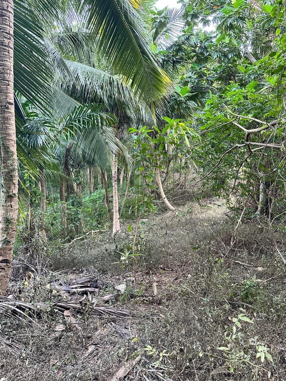 Third image of Leyton-orange Bay Portland in Orange Bay, Portland, Jamaica - property is For Sale