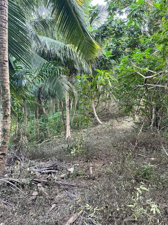 Third image of Leyton-orange Bay Portland in Orange Bay, Portland, Jamaica - property is For Sale