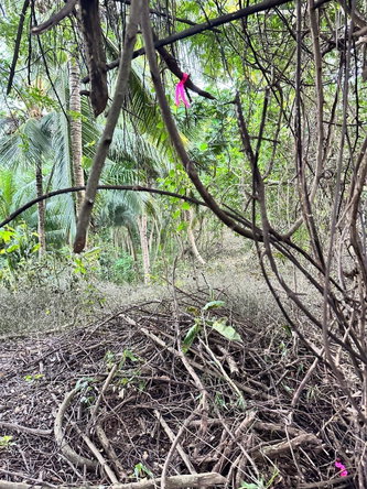 Fourth image of Leyton-orange Bay Portland in Orange Bay, Portland, Jamaica - property is For Sale