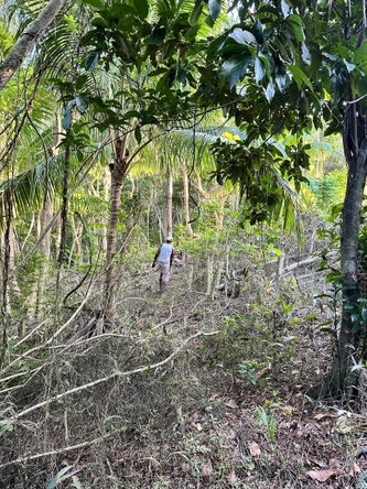 Fifth image of Leyton-orange Bay Portland in Orange Bay, Portland, Jamaica - property is For Sale