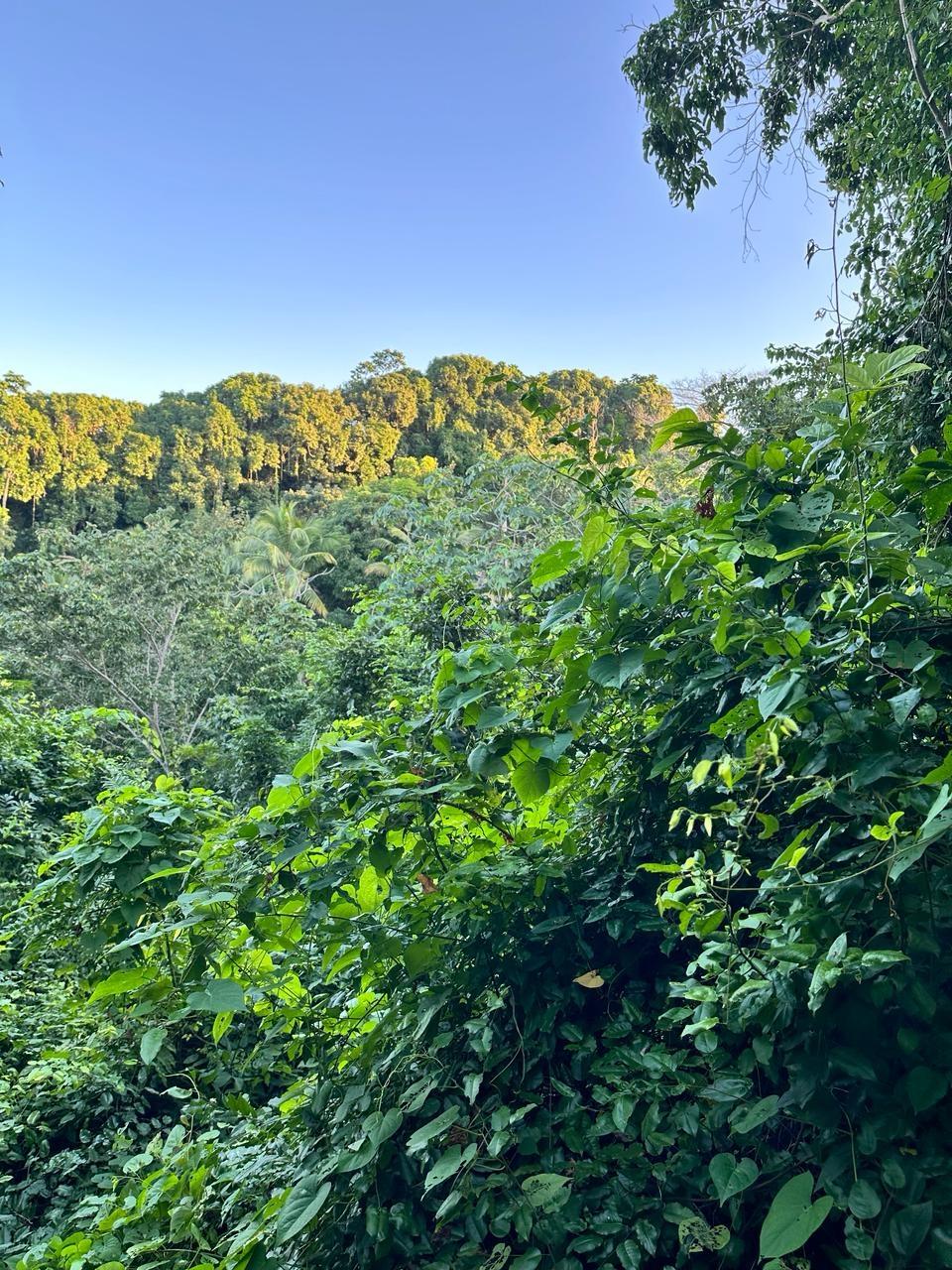 Sixth image of Leyton-orange Bay Portland in Orange Bay, Portland, Jamaica - property is For Sale