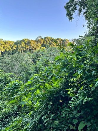 Sixth image of Leyton-orange Bay Portland in Orange Bay, Portland, Jamaica - property is For Sale