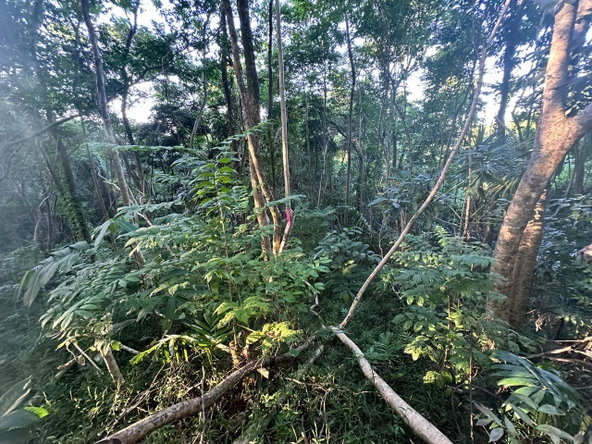 Seventh image of Leyton-orange Bay Portland in Orange Bay, Portland, Jamaica - property is For Sale