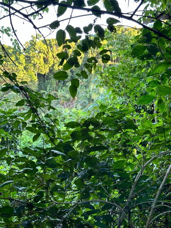 Ninth image of Leyton-orange Bay Portland in Orange Bay, Portland, Jamaica - property is For Sale