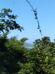 First image of Leyton-orange Bay Portland in Orange Bay, Portland, Jamaica - property is For Sale