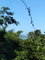 First image of Leyton-orange Bay Portland in Orange Bay, Portland, Jamaica - property is For Sale