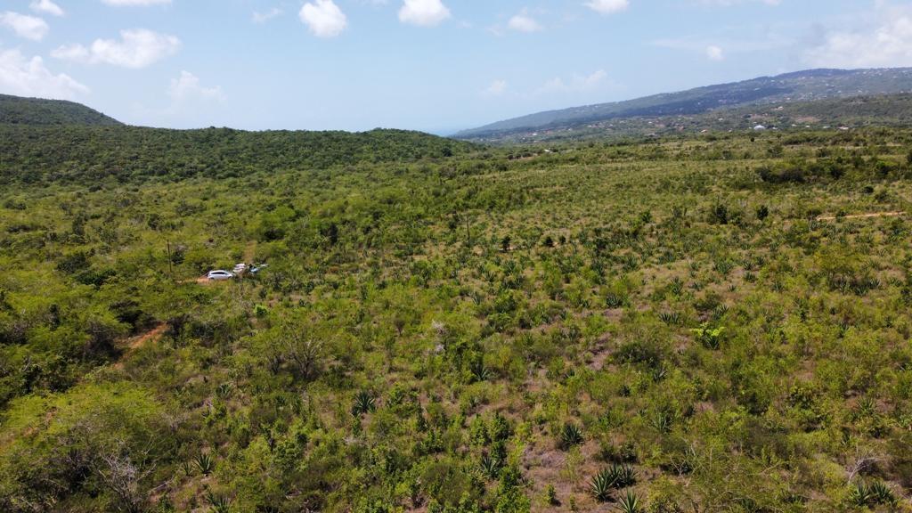 Third image of Lititz Land Settlement in LITITZ, Manchester, Jamaica - property is For Sale