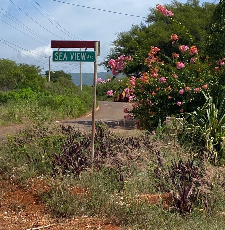 Fourth image of Lititz Land Settlement in LITITZ, Manchester, Jamaica - property is For Sale