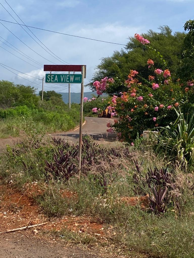 Fourth image of Lititz Land Settlement in LITITZ, Manchester, Jamaica - property is For Sale