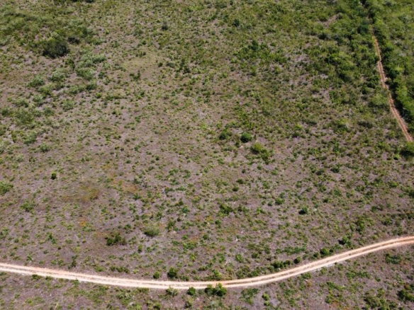 First image of Lititz Land Settlement in LITITZ, Manchester, Jamaica - property is For Sale