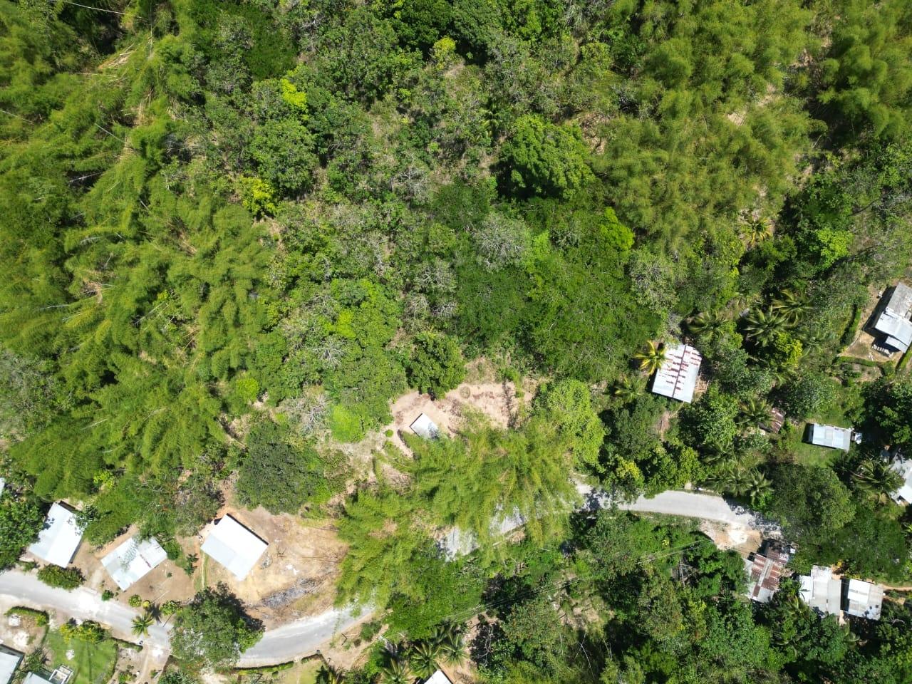Twelfth image of 15 Saxham, Hanover in Saxham, Hanover, Jamaica - property is For Sale