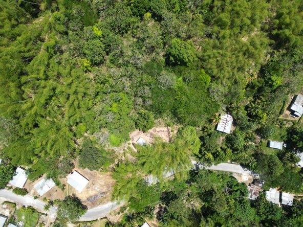 Twelfth image of 15 Saxham, Hanover in Saxham, Hanover, Jamaica - property is For Sale