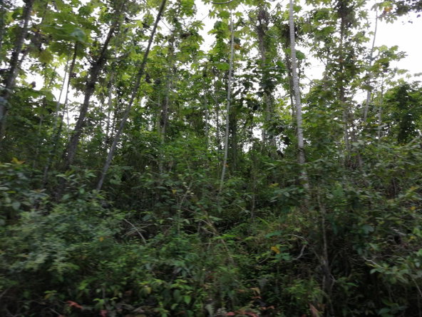 Second image of Lot 39 Sligoville Main Road in Sligoville, St. Catherine, Jamaica - property is For Sale