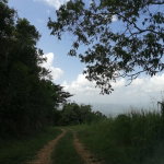 First image of Lot 39 Sligoville Main Road in Sligoville, St. Catherine, Jamaica - property is For Sale