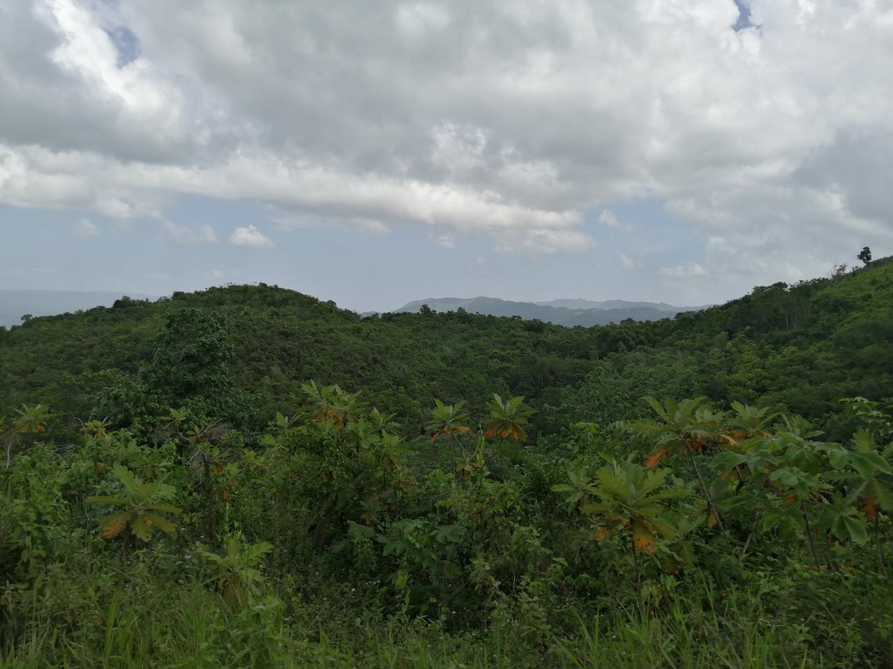 Third image of Lot 39 Sligoville Main Road in Sligoville, St. Catherine, Jamaica - property is For Sale