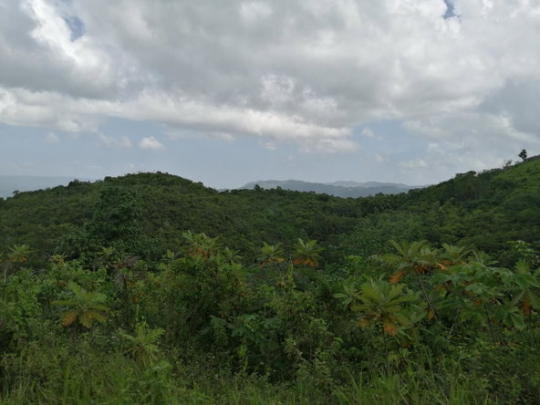 Third image of Lot 39 Sligoville Main Road in Sligoville, St. Catherine, Jamaica - property is For Sale