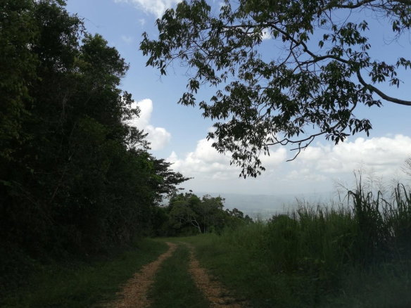 First image of Lot 39 Sligoville Main Road in Sligoville, St. Catherine, Jamaica - property is For Sale