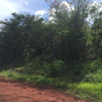 First image of Paul Mountain, Top Mounta in Pauls Mountain, St. Catherine, Jamaica - property is For Sale
