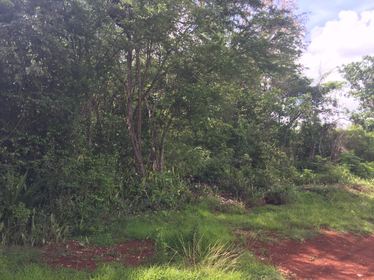 Fourth image of Paul Mountain, Top Mounta in Pauls Mountain, St. Catherine, Jamaica - property is For Sale