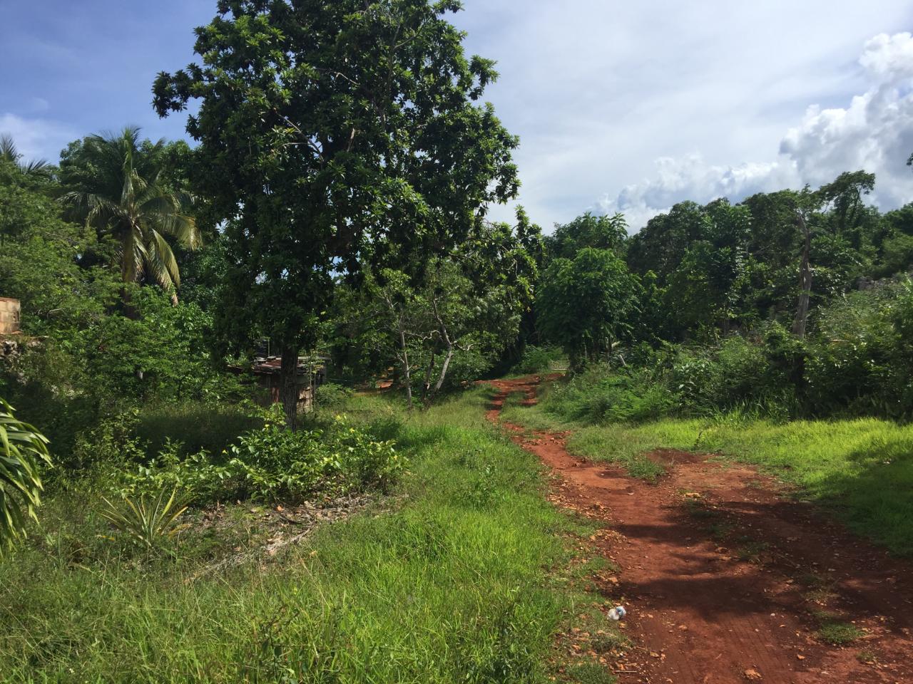 Fifth image of Paul Mountain, Top Mounta in Pauls Mountain, St. Catherine, Jamaica - property is For Sale