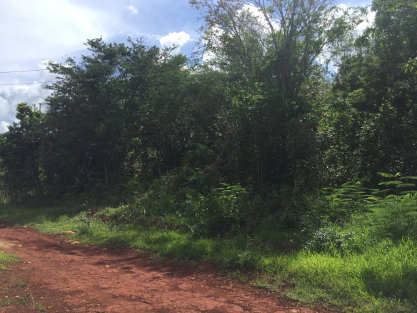 First image of Paul Mountain, Top Mounta in Pauls Mountain, St. Catherine, Jamaica - property is For Sale