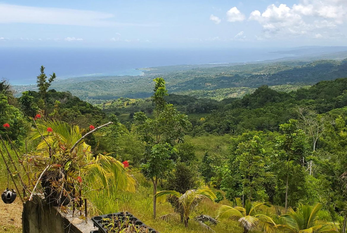 Second image of 215 Free Hill in St. Ann's Bay, St. Ann, Jamaica - property is For Sale