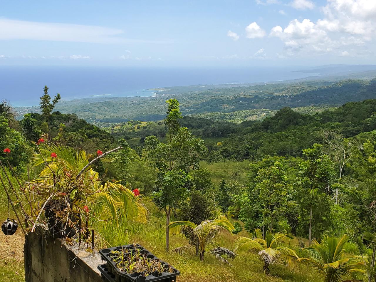 5-Acres-of-Ocean-View-Land-for-Sale-in-St.-Ann-Jamaica Second image of 215 Free Hill in St. Ann's Bay, St. Ann, Jamaica - property is For Sale