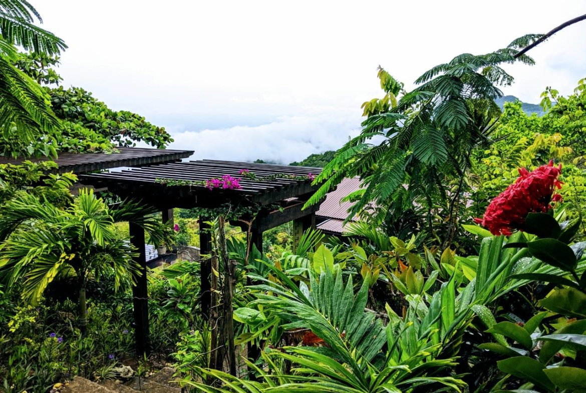 Eleventh image of 215 Free Hill in St. Ann's Bay, St. Ann, Jamaica - property is For Sale