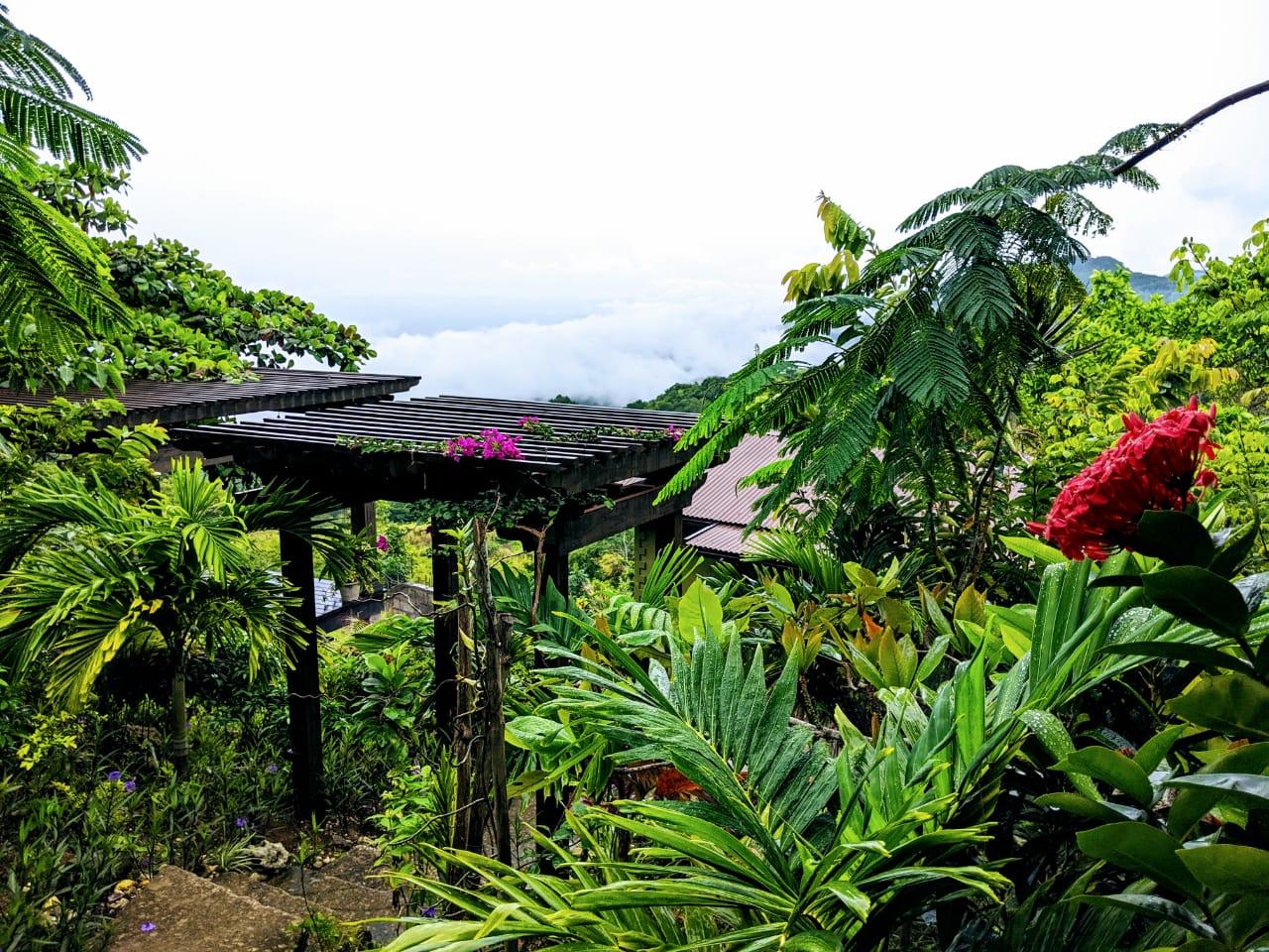 5-Acres-of-Ocean-View-Land-for-Sale-in-St.-Ann-Jamaica Eleventh image of 215 Free Hill in St. Ann's Bay, St. Ann, Jamaica - property is For Sale