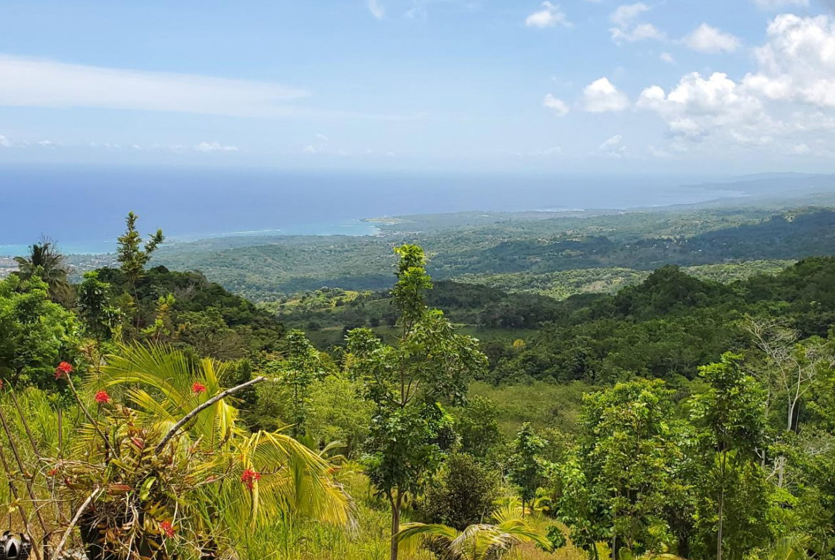 First image of 215 Free Hill in St. Ann's Bay, St. Ann, Jamaica - property is For Sale