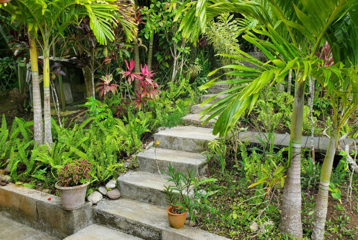 Thirteenth image of 215 Free Hill in St. Ann's Bay, St. Ann, Jamaica - property is For Sale