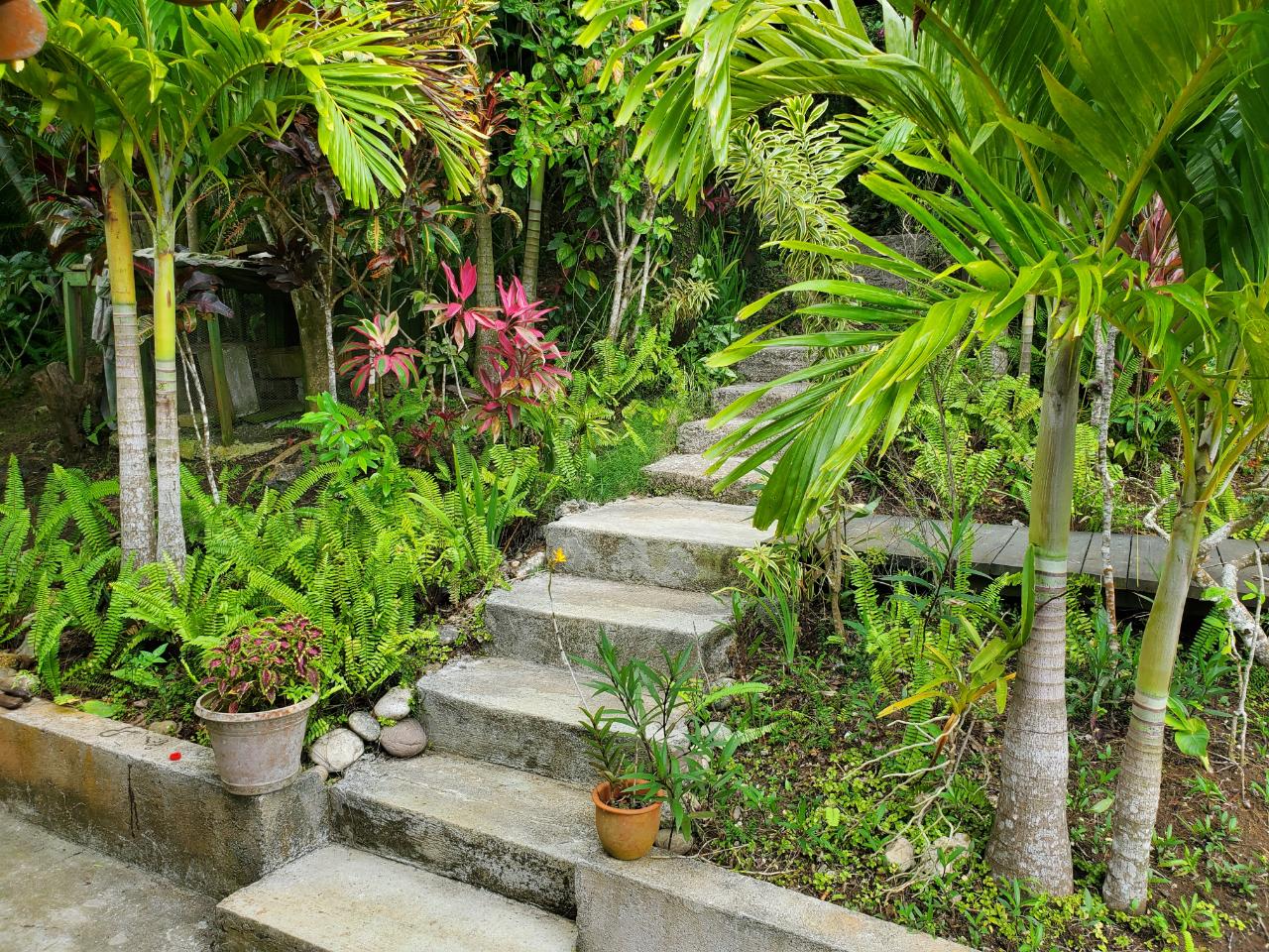5-Acres-of-Ocean-View-Land-for-Sale-in-St.-Ann-Jamaica Thirteenth image of 215 Free Hill in St. Ann's Bay, St. Ann, Jamaica - property is For Sale