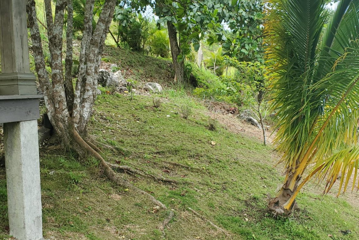 Fourteenth image of 215 Free Hill in St. Ann's Bay, St. Ann, Jamaica - property is For Sale