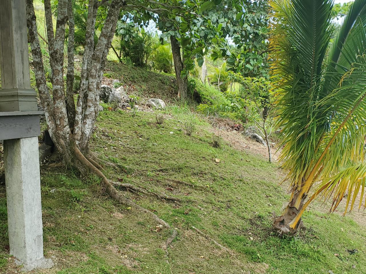 5-Acres-of-Ocean-View-Land-for-Sale-in-St.-Ann-Jamaica Fourteenth image of 215 Free Hill in St. Ann's Bay, St. Ann, Jamaica - property is For Sale