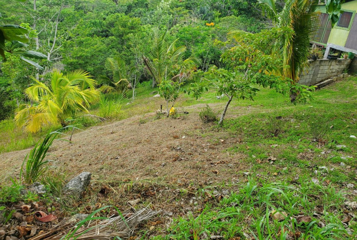 Fifteenth image of 215 Free Hill in St. Ann's Bay, St. Ann, Jamaica - property is For Sale