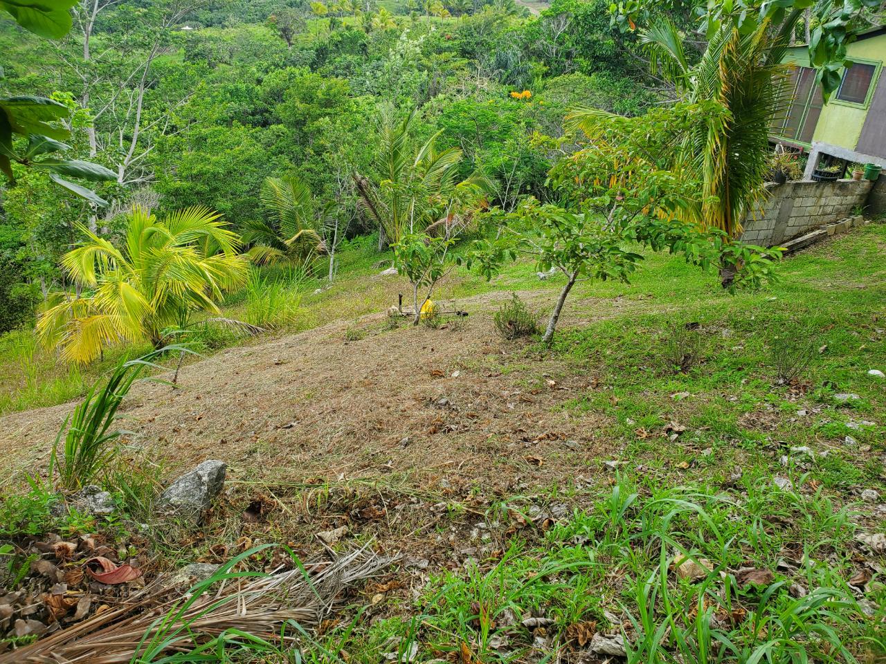 5-Acres-of-Ocean-View-Land-for-Sale-in-St.-Ann-Jamaica Fifteenth image of 215 Free Hill in St. Ann's Bay, St. Ann, Jamaica - property is For Sale