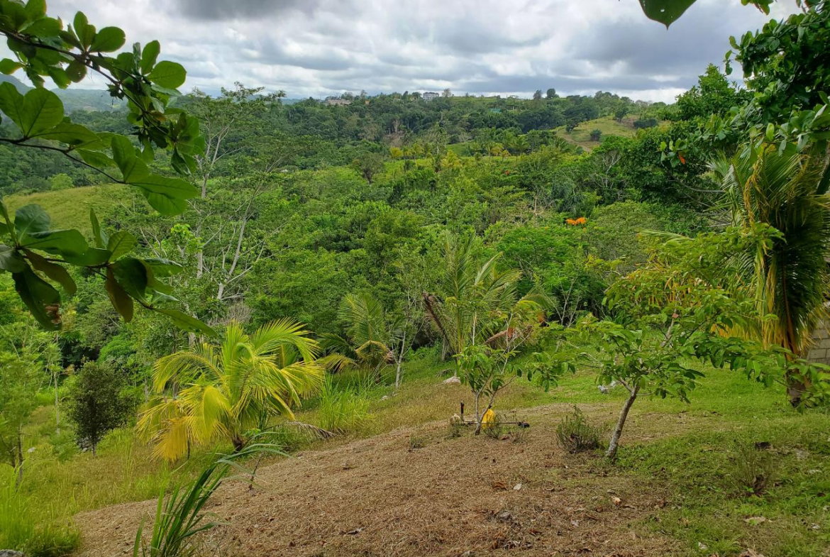 Sixteenth image of 215 Free Hill in St. Ann's Bay, St. Ann, Jamaica - property is For Sale