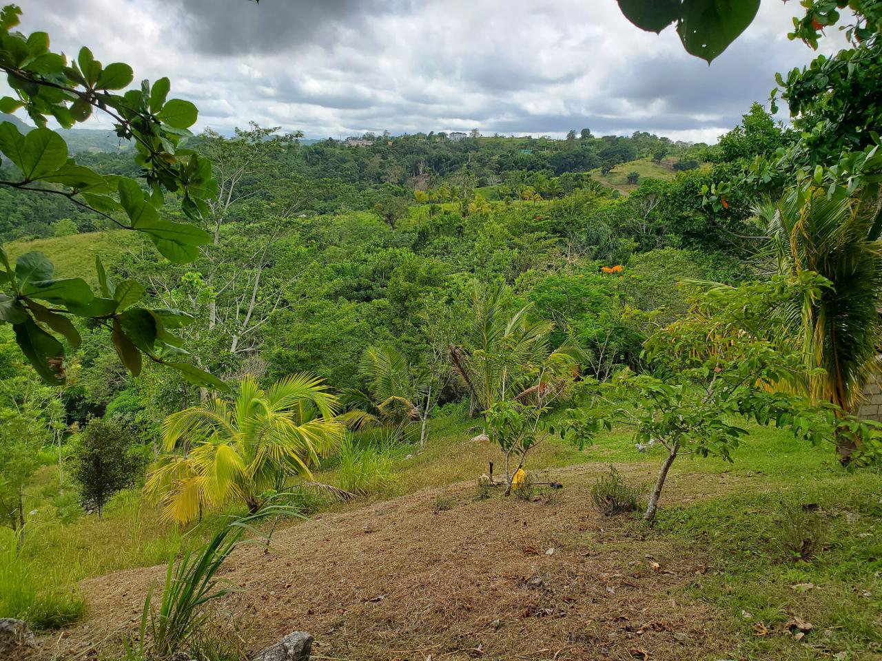 5-Acres-of-Ocean-View-Land-for-Sale-in-St.-Ann-Jamaica Sixteenth image of 215 Free Hill in St. Ann's Bay, St. Ann, Jamaica - property is For Sale