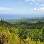 First image of 215 Free Hill in St. Ann's Bay, St. Ann, Jamaica - property is For Sale