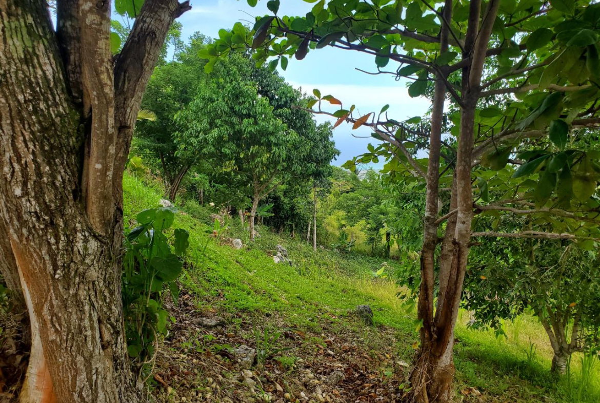 Seventeenth image of 215 Free Hill in St. Ann's Bay, St. Ann, Jamaica - property is For Sale