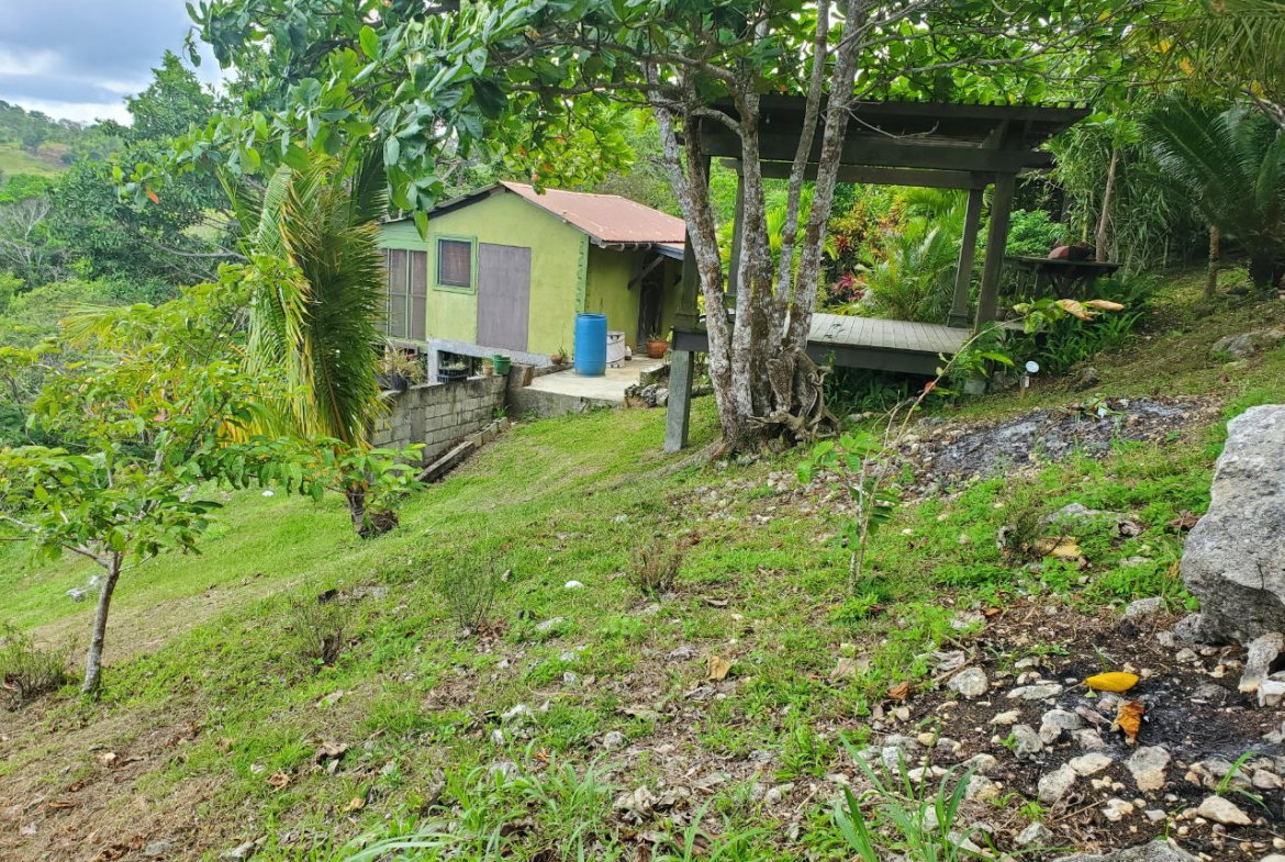 Eighteenth image of 215 Free Hill in St. Ann's Bay, St. Ann, Jamaica - property is For Sale