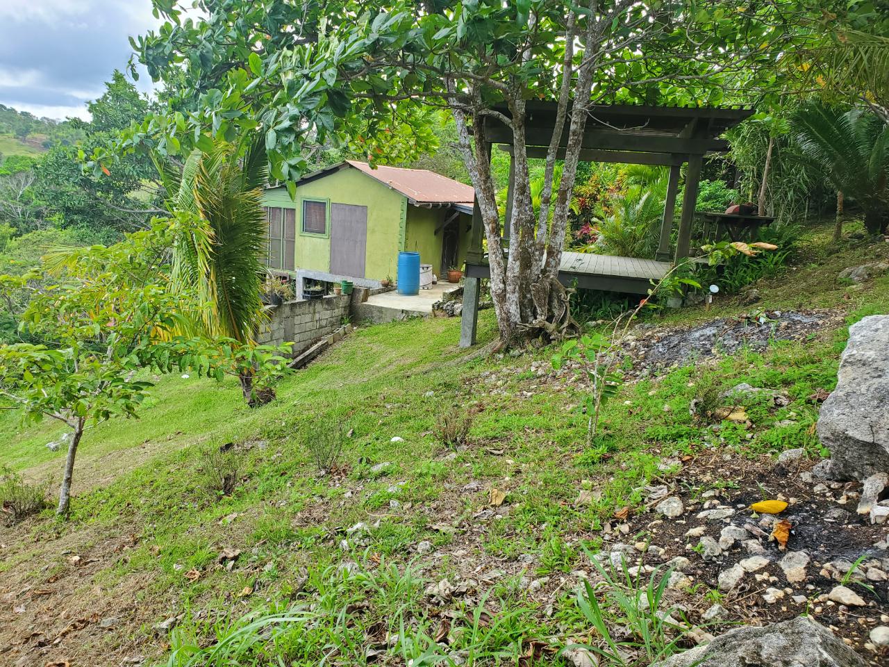 5-Acres-of-Ocean-View-Land-for-Sale-in-St.-Ann-Jamaica Eighteenth image of 215 Free Hill in St. Ann's Bay, St. Ann, Jamaica - property is For Sale
