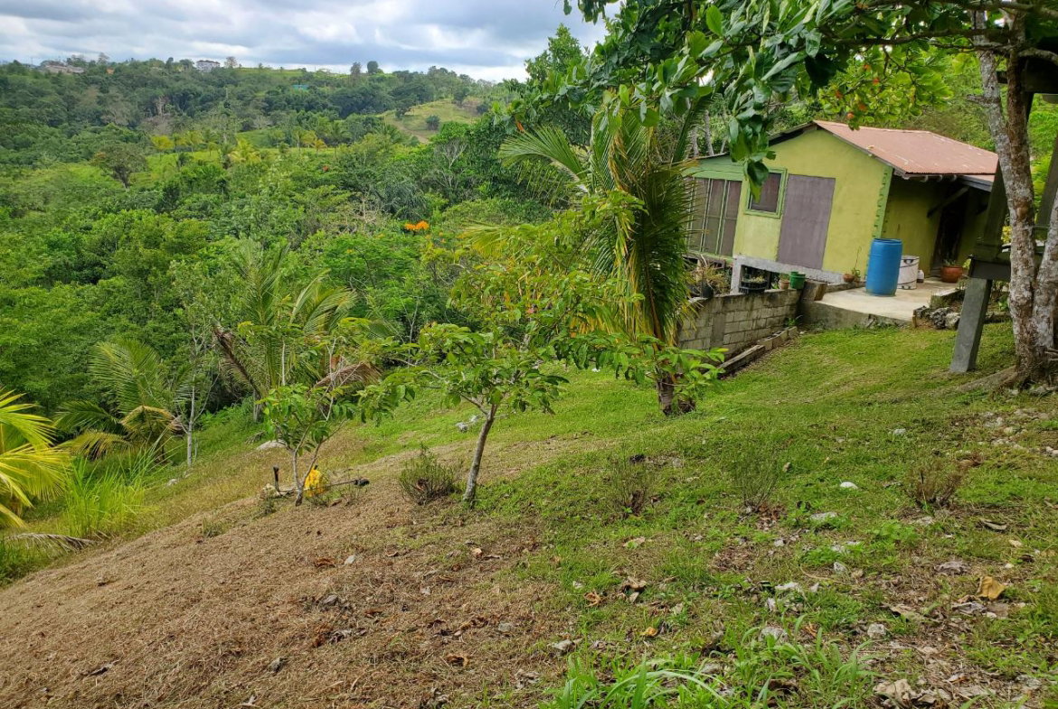 Nineteenth image of 215 Free Hill in St. Ann's Bay, St. Ann, Jamaica - property is For Sale